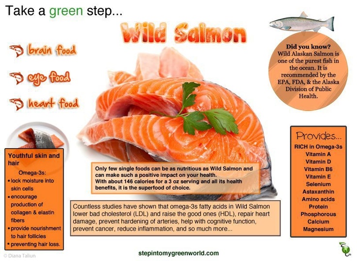 salmon